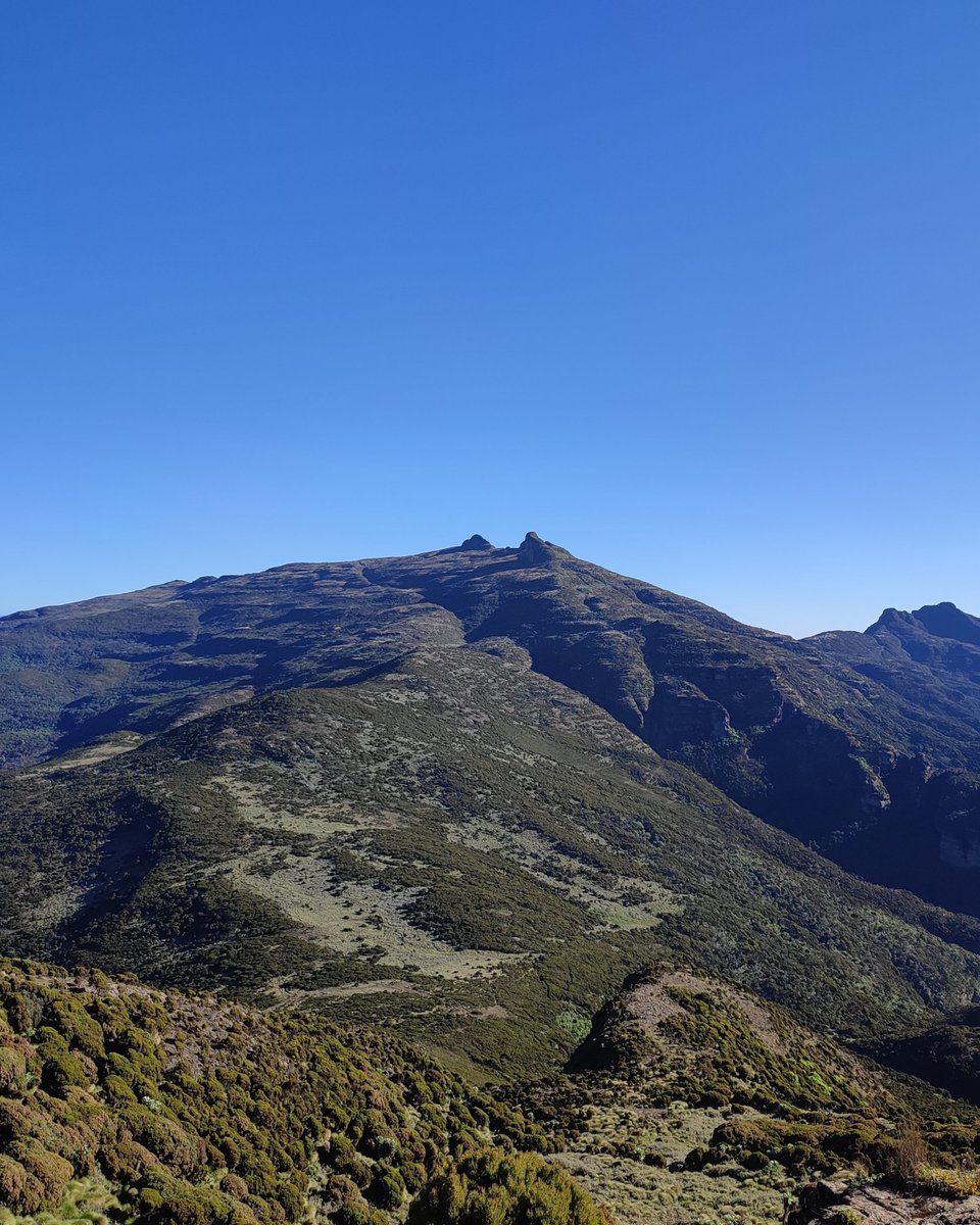 Kiprono Leting tweet media