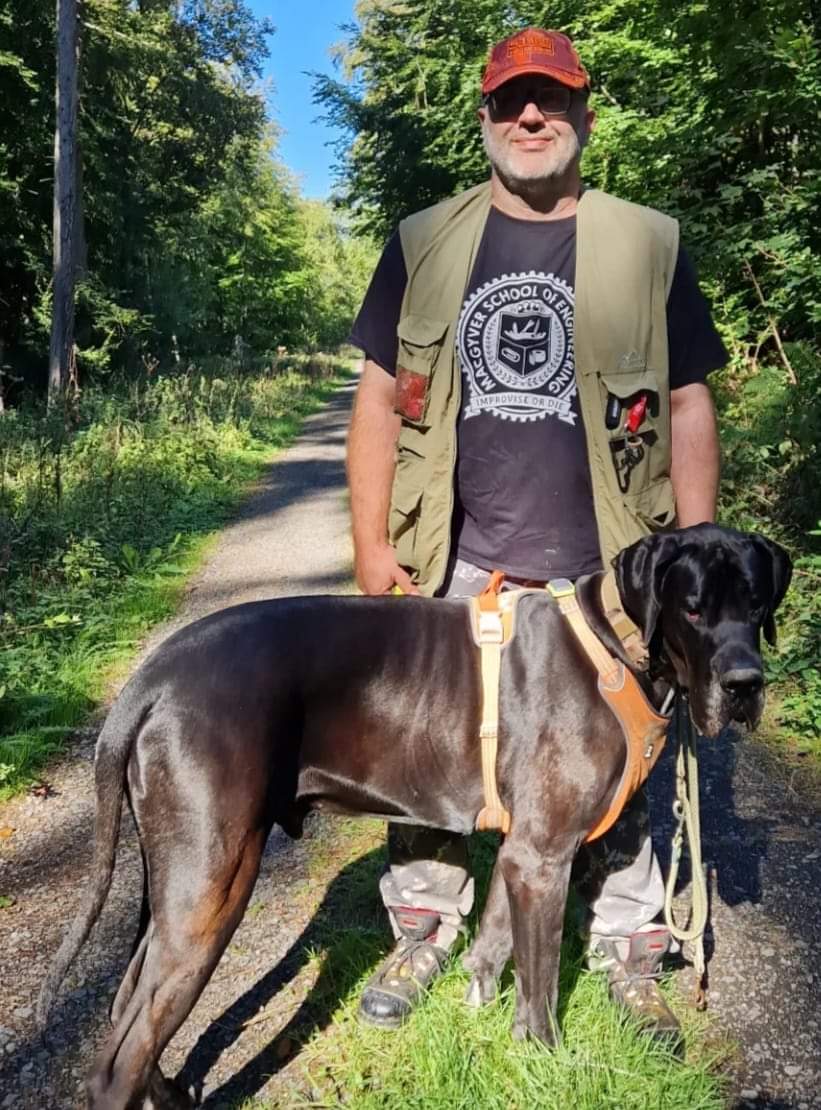 MatthiasH20512h's tweet image. #greatdanes #deutschedogge #huge #big #phantastic #great #hund #outdoor #adventure