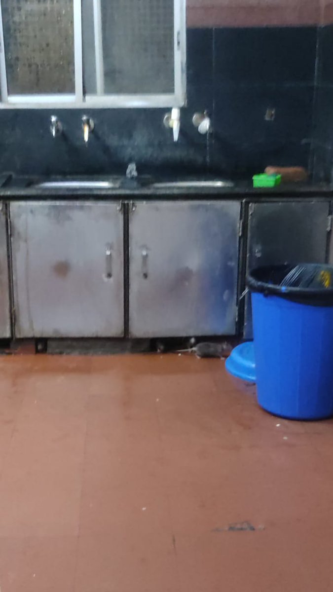 debjit033's tweet photo. Condition of kitchen of howrah running room. Mouse are roaming here &amp; there, very unhygienic. Please look into the matter. @RailwaySeva @drmhowrah https://t.co/A5ykoHLYAQ