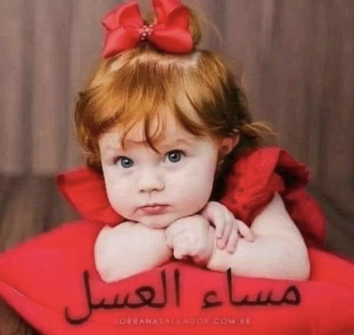 هلا العتيبي♥️ tweet media