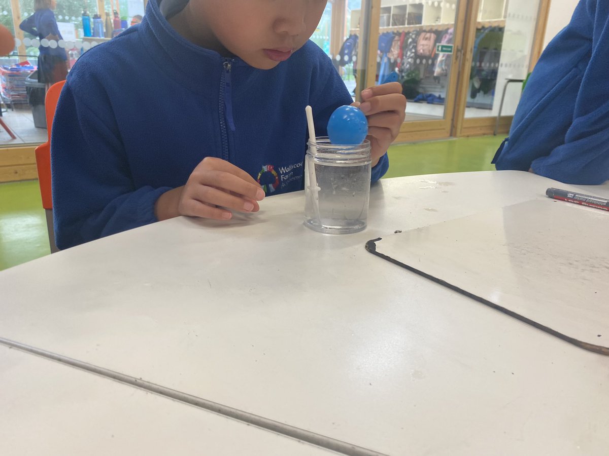 Year 5 scientists were certainly observing closely and collaborating brilliantly when they investigated soluble and insoluble substances today. <a href="/Cabotfederation/">Cabot Federation</a> #wfascientists
