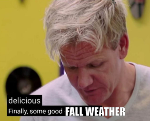 David DiMolfetta tweet media