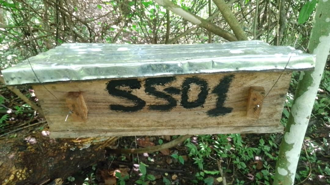 SetlinkFinance's tweet image. We have installed 100 Behives as demonstration farm for the Beekeeping farmers within YEI River County to learn from as a community.

HONEY IS MONEY