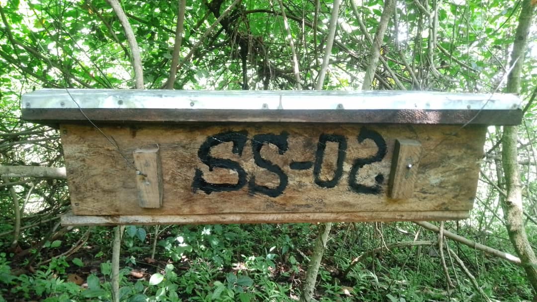 SetlinkFinance's tweet image. We have installed 100 Behives as demonstration farm for the Beekeeping farmers within YEI River County to learn from as a community.

HONEY IS MONEY