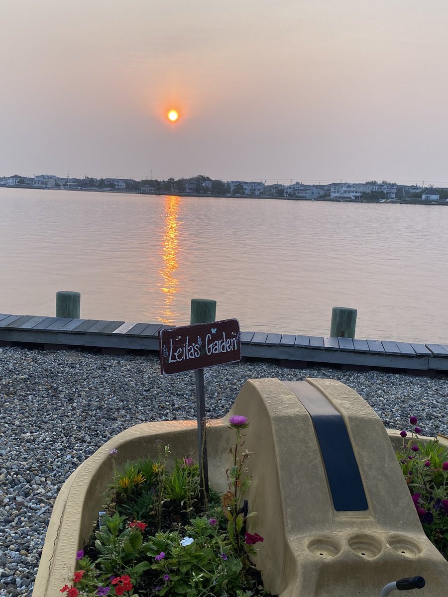 robinjerseygirl's tweet photo. #JustViewsArcade  @arcade_contest #sunrise #morning #sun #barnegatbay #nj #harveycedars #leila https://t.co/eCP0J2CVoN