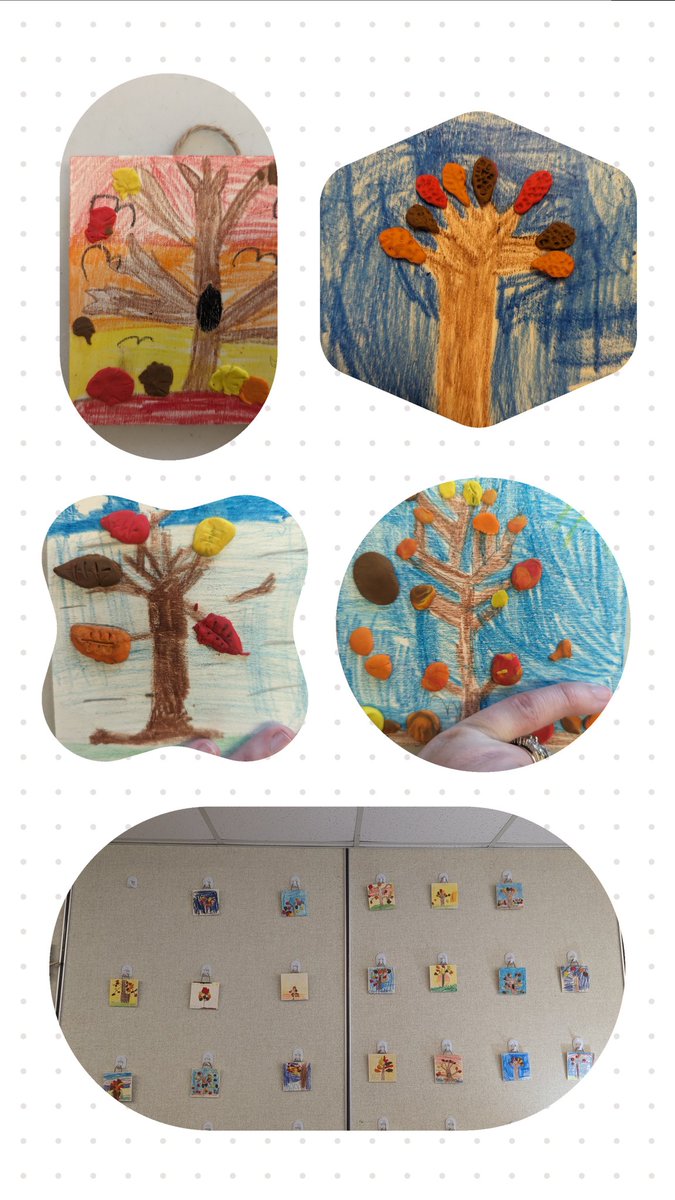 Lilly Regular tweet media