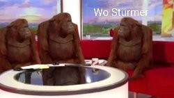 #effzehmv