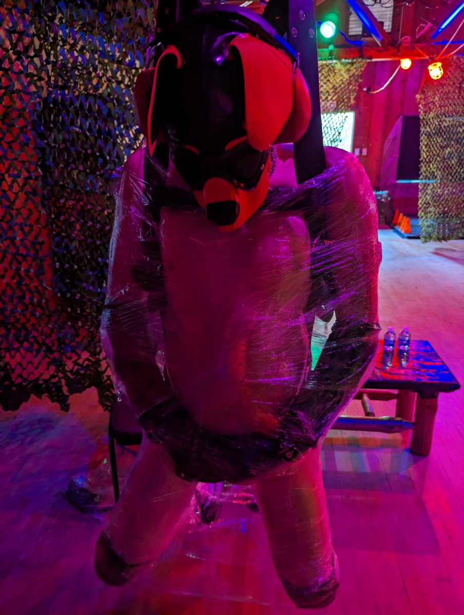 gearedrock (Pup Paws) @ gbus tweet media
