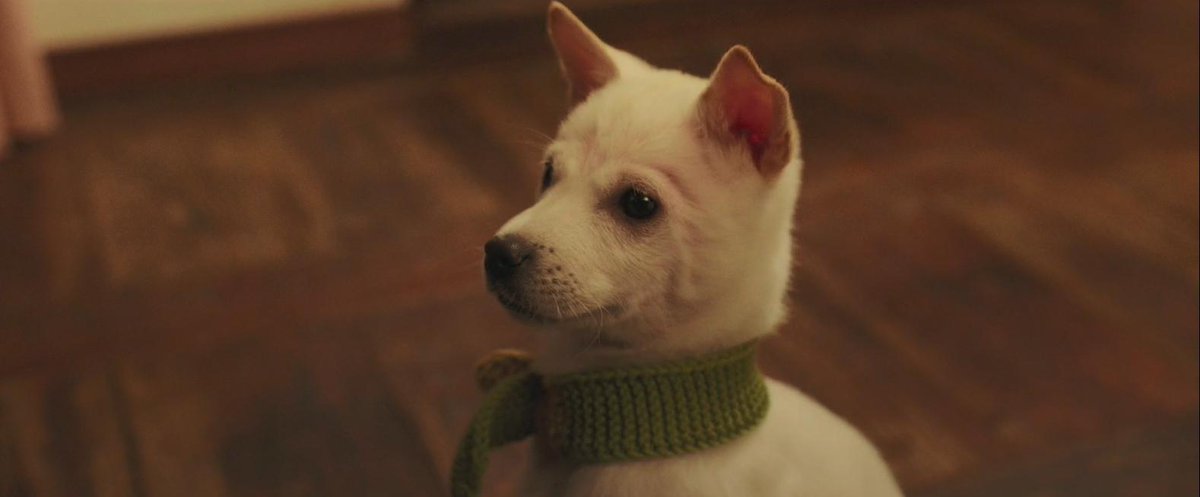 Come along and see this super cute chap on the big screen in Jubilee Square this Fri at 7.30pm.
For a free screening of "little Forest
To book your free seat please follow the link in the bio.
#outdoorcinema #koreanfilm #lunarfestival #chuseok #newmalden #nmtcp