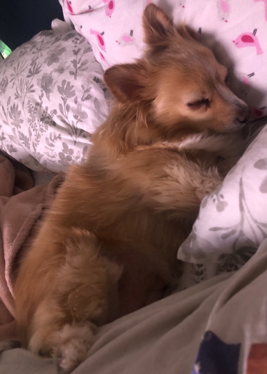 Hiiii🙌🏻hope w everyone is hanging in there! The energy has been SUX-O🤦🏻‍♀️😵‍💫🤦🏻‍♀️Packing n’many appointment’s ova here! Giving myself some rm was the best thing I could do, extending the move date! This little butt got her TX baby Cert! She’s an amazing therapist❤️love u guys❣️