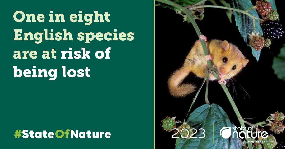 NEW: #StateOfNature report shows a continuing decline in UK's terrestrial wildlife, warning that 1 in 6 of 10,000 species assessed are at risk of becoming extinct

60+ organisations incl UKCEH have produced this comprehensive study of national wildlife 👀 bit.ly/stateofnature23