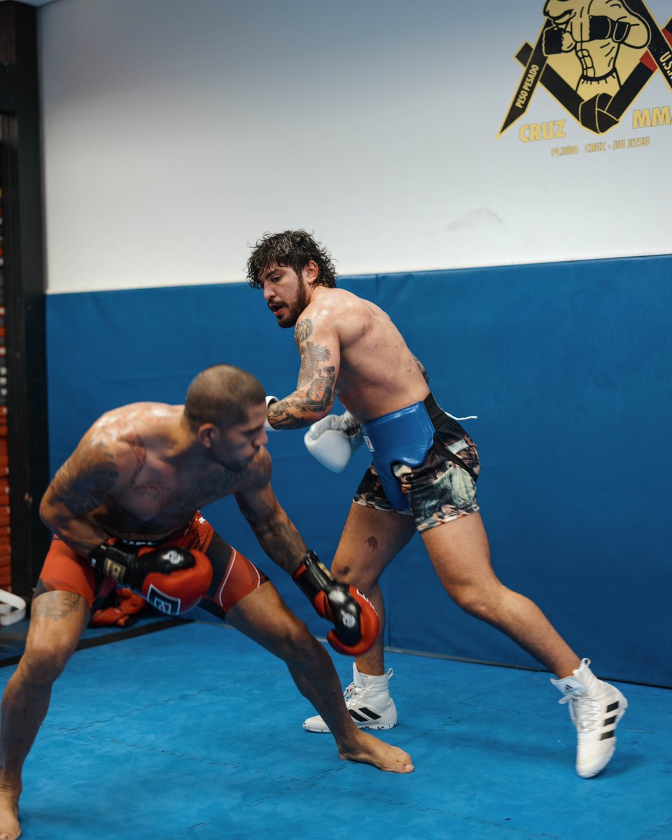 dillondanis's tweet photo. Heavy rounds today with @AlexPereiraUFC Don't worry Logan, get the ring cards ready for Nina. I'll be there October 14th and I'm gonna break your face pussy. https://t.co/k6iWftGltw