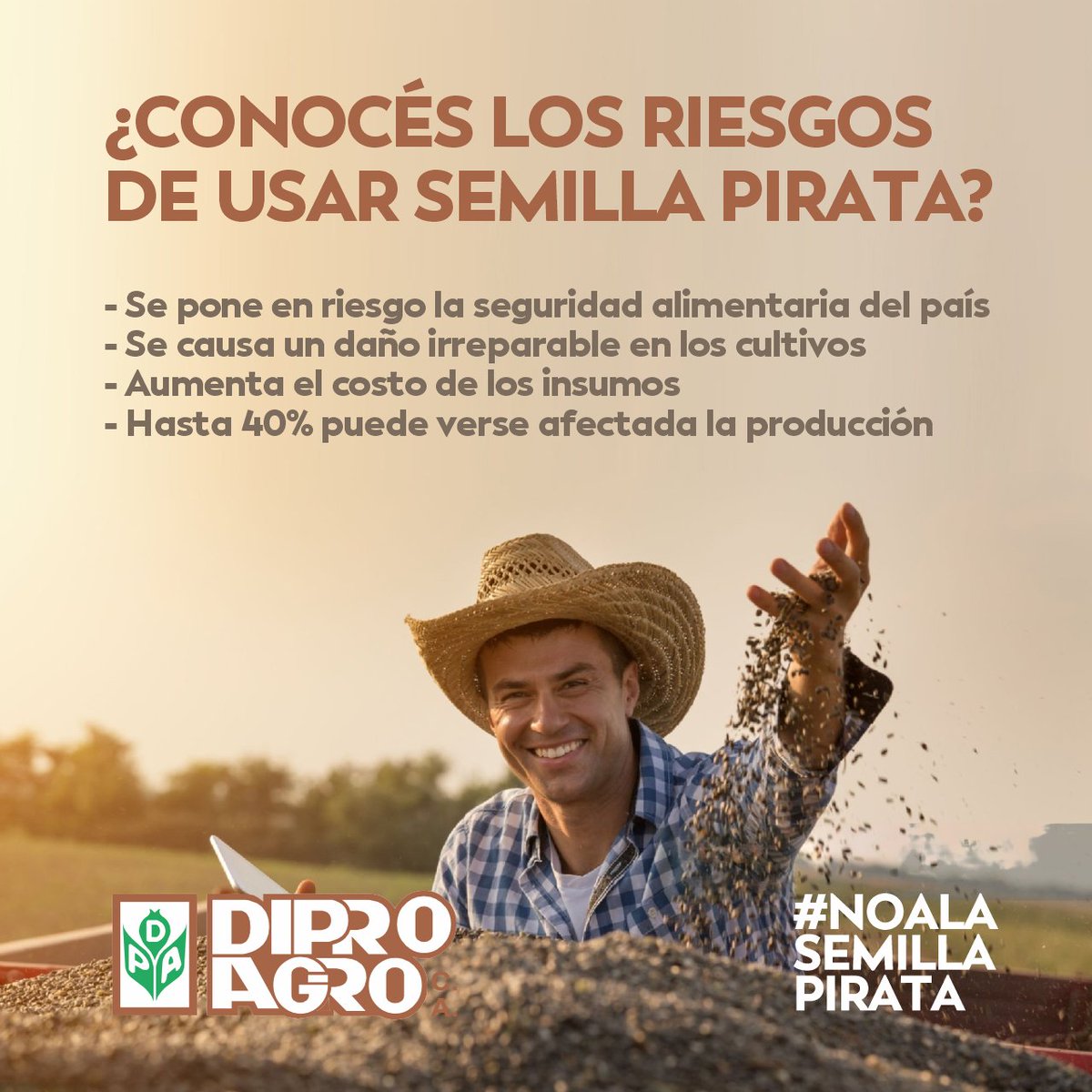 diproagroca's tweet photo. Usar semilla pirata es usar semilla sin garantía
La semilla de calidad garantiza el rendimiento del cultivo y, de esa manera, el éxito del mismo

#NOalaSemillaPirata
Contáctenos para más información

#Agricultura #Agro #Campo #InsumosAgrícolas #SolucionesAgrícolas #Agronomía https://t.co/PFQcSuWqRY