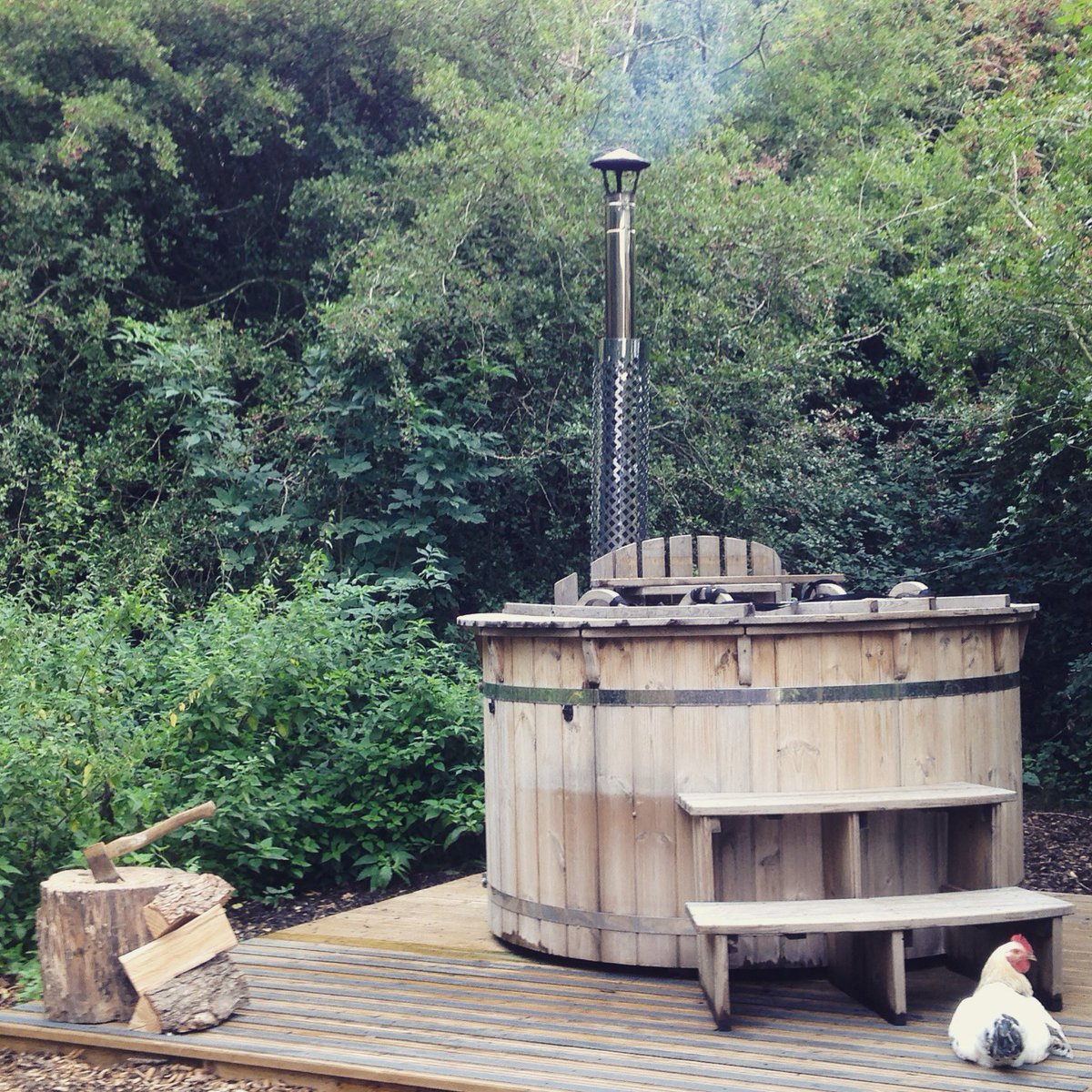 Secret Meadows tweet media