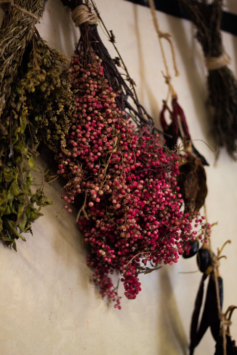 En esta cocina pasan cosas mágicas, al fondo de esta siempre tengo mis mejores amigas esas que me ayudan a darle el toque de sabor, se vuelven mis aliadas en todos mis menjurjes. 

Carmela y su cocina 🖤