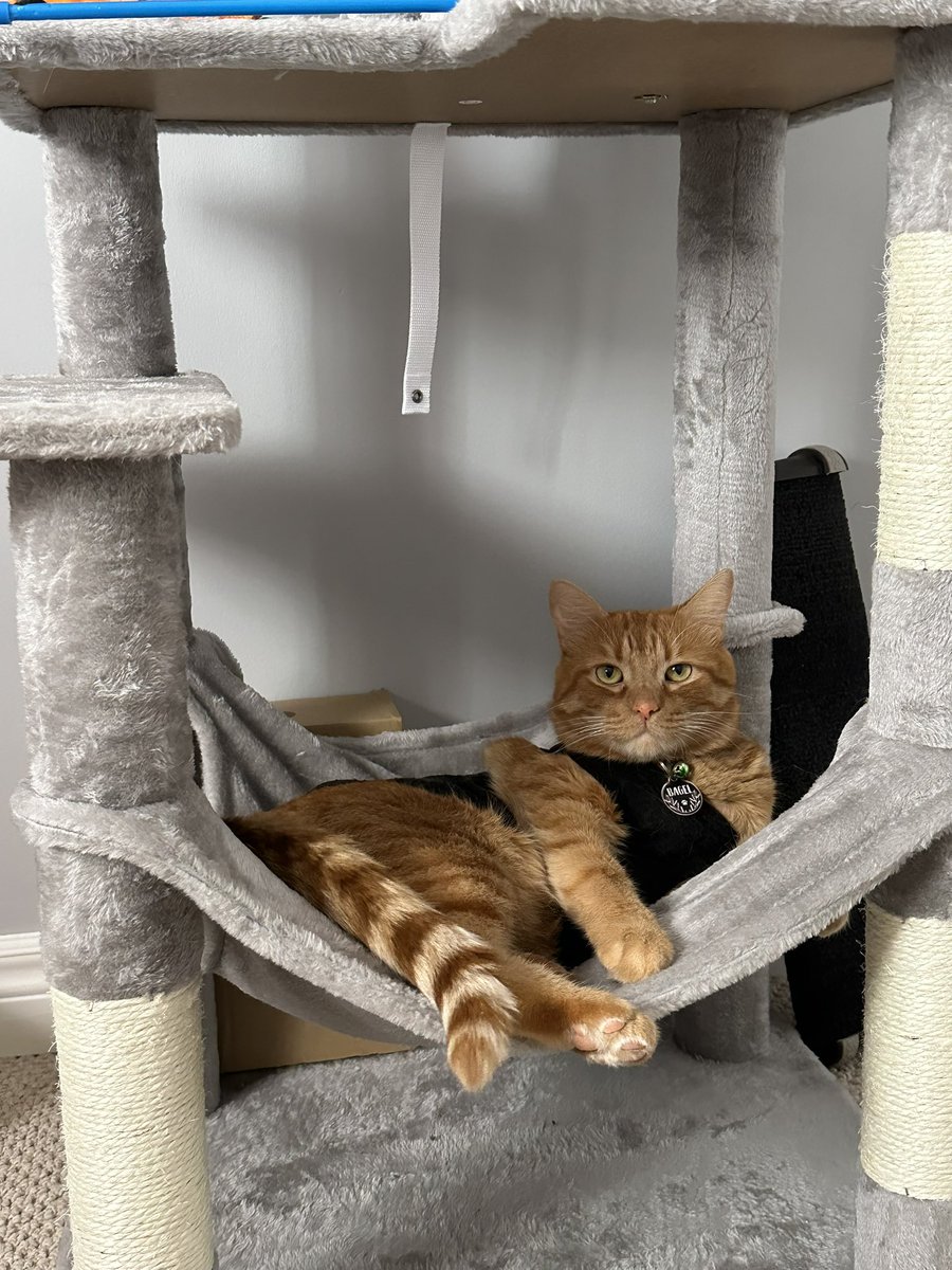 kurisu_gray tweet media