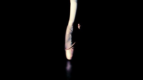 TheCinesthetic's tweet photo. Black Swan (2010) dir. Darren Aronofsky https://t.co/LnNrCZaysv