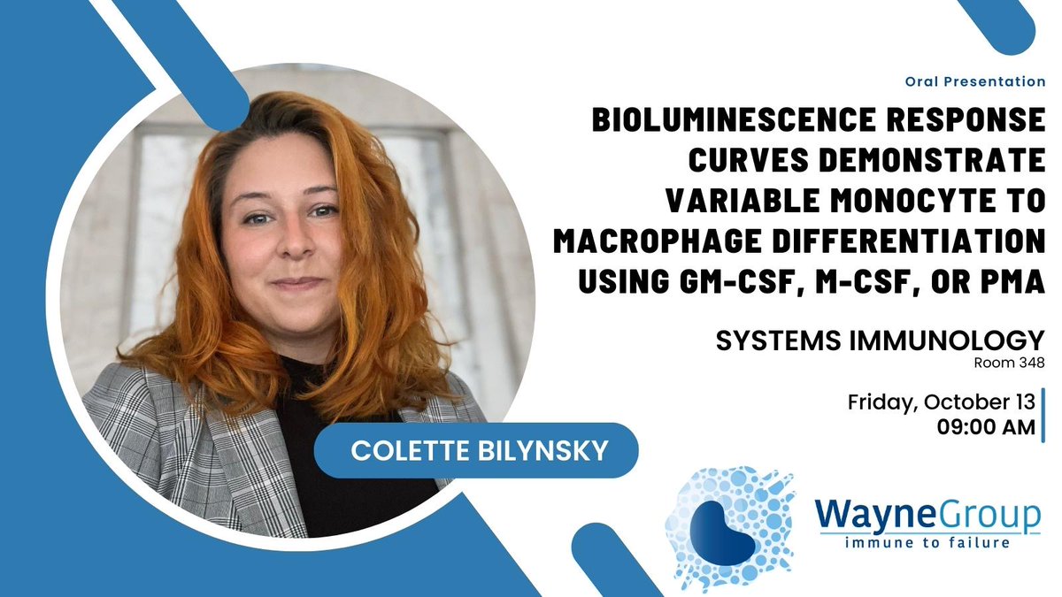 The Wayne Group tweet media