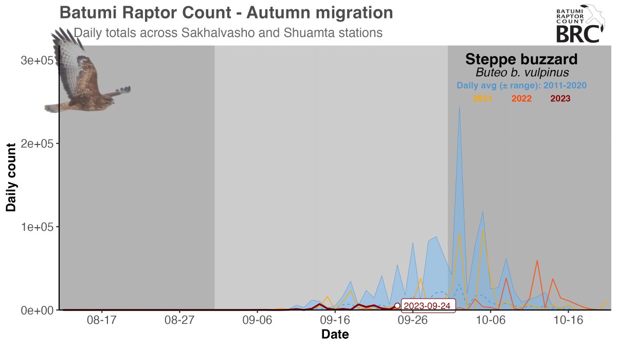 Approaching the million...

#BRC15's total is getting closer and closer to the magic, yet annual, 1 million mark. Theoretically, our team is just one good day away from reaching it! We're mostly waiting for the big (though chaotic) Steppe Buzzard days!👀

But there's more👇

1/4