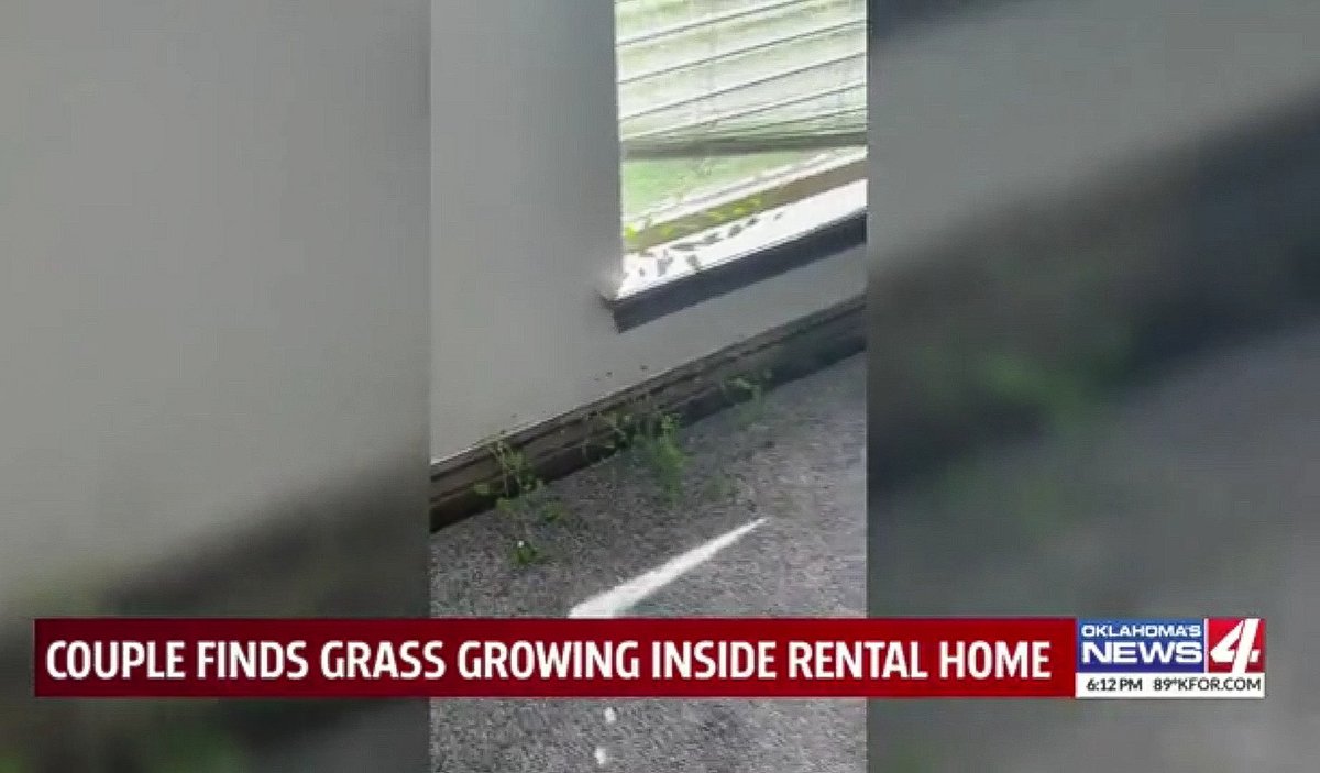 Neisha T. Ford tweet media