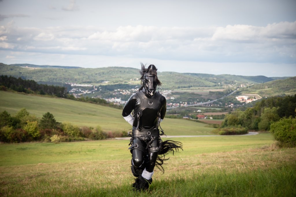 Run boy run….    #porthosstable <a href="/AramisThePony/">Aramis</a>