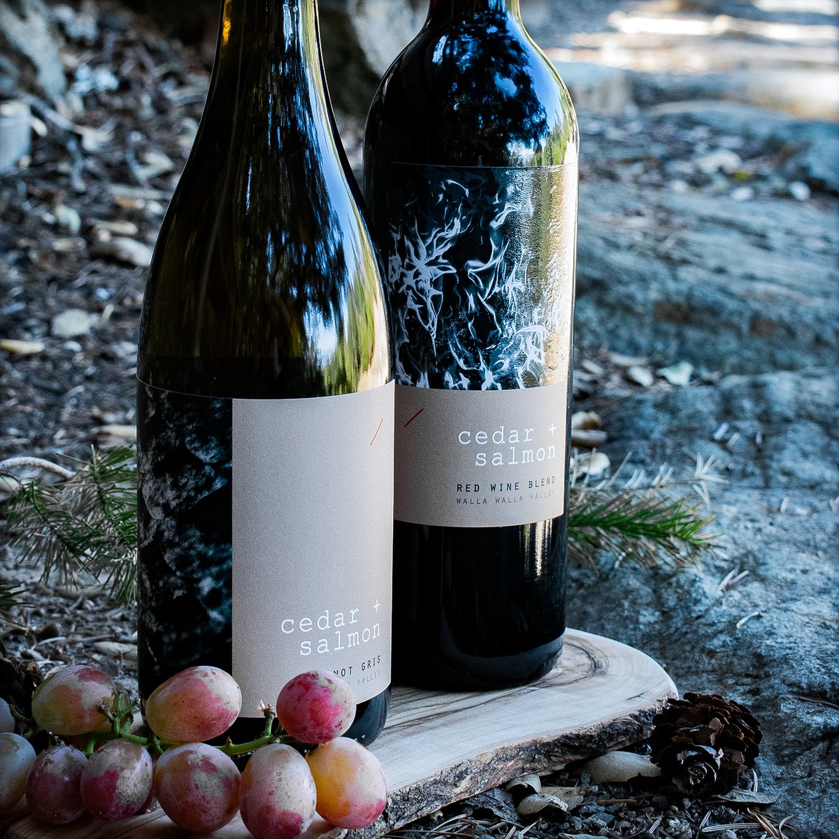 cedarandsalmon's tweet photo. Great wine is all about balance. That's why we carefully craft each bottle of Cedar + Salmon so every element is in harmony. 🍷

#experiencetheharmony #cedarandsalmonwines https://t.co/Qa4YUbtufW