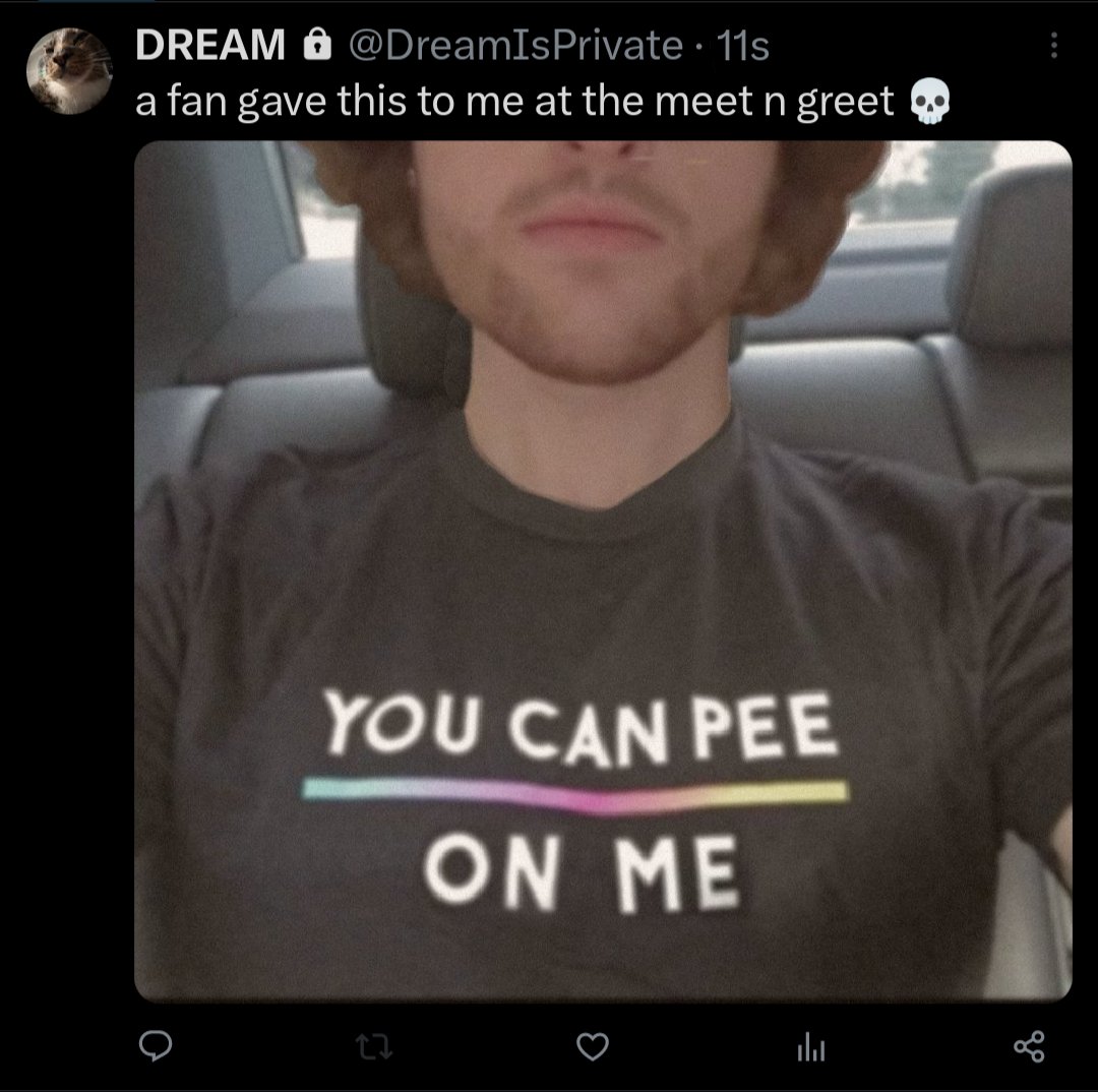 WhoTookQuiche's tweet photo. Anyone else catch this on dream's priv before he deleted ???? https://t.co/cpB3h4IoDN