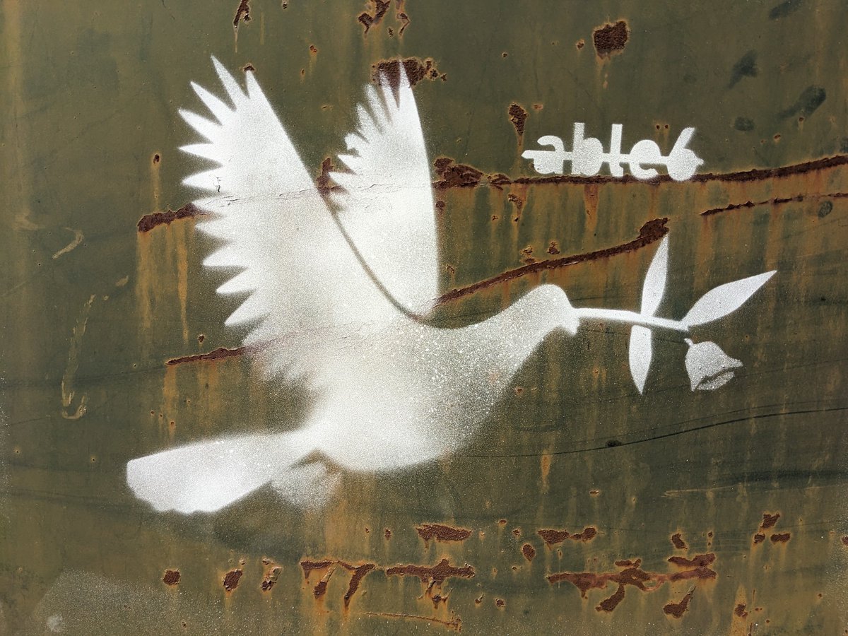 It begins Peace Doves for Ukraine in #Tysons #TysonsCorner #Mclean . . . More to come.