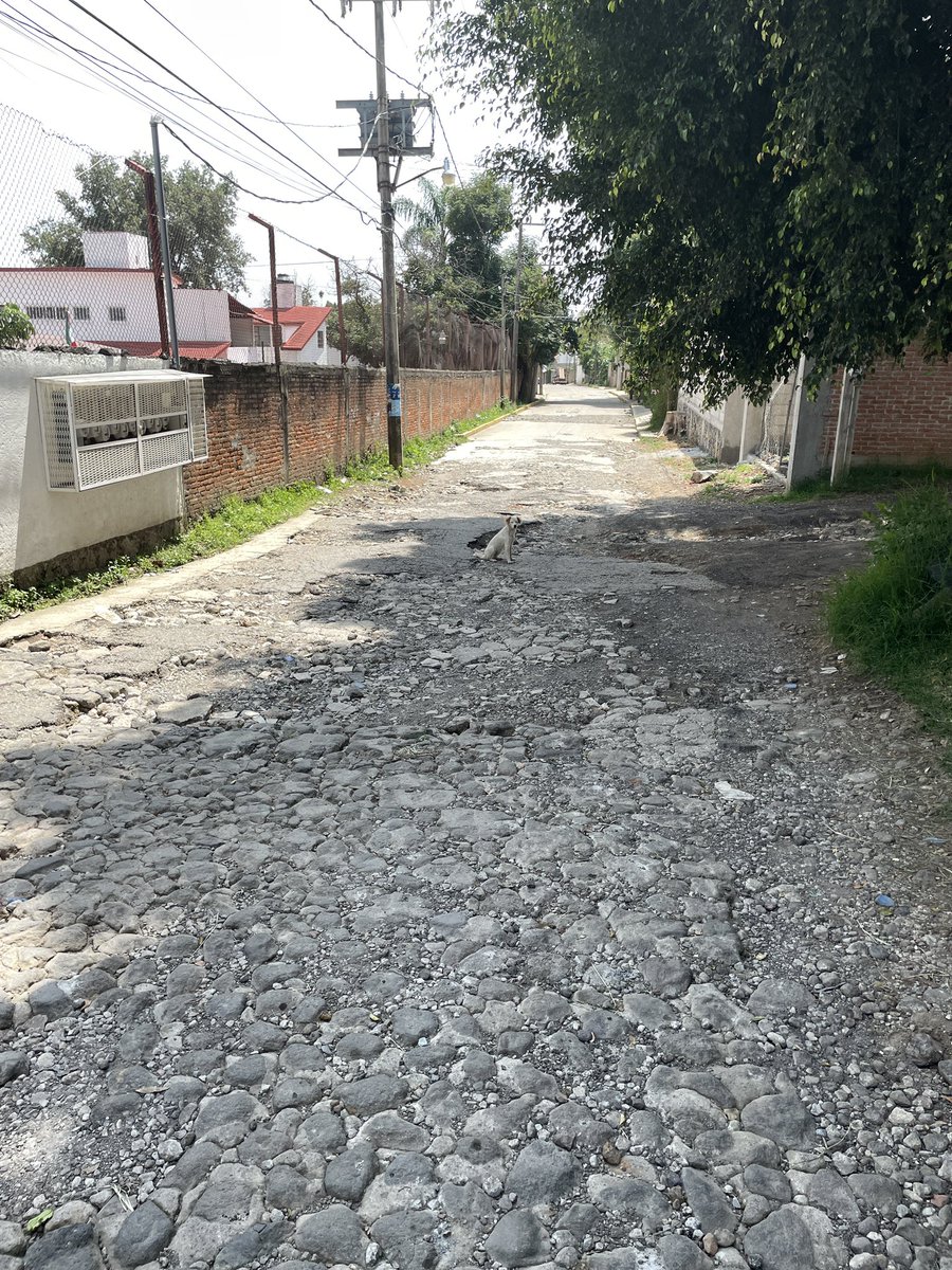 pimedios's tweet photo. Buenas tardes Lic. @jluriosteguis    Solicito su apoyo para pavimentar (es intransitable) la calle I. Rayón en Santa María Ahuacatitlán. Esta vialidad es alterna para el flujo vehicular ahora que Av Universidad está en obra. Gracias por su atención. https://t.co/N5hkRnk6JE
