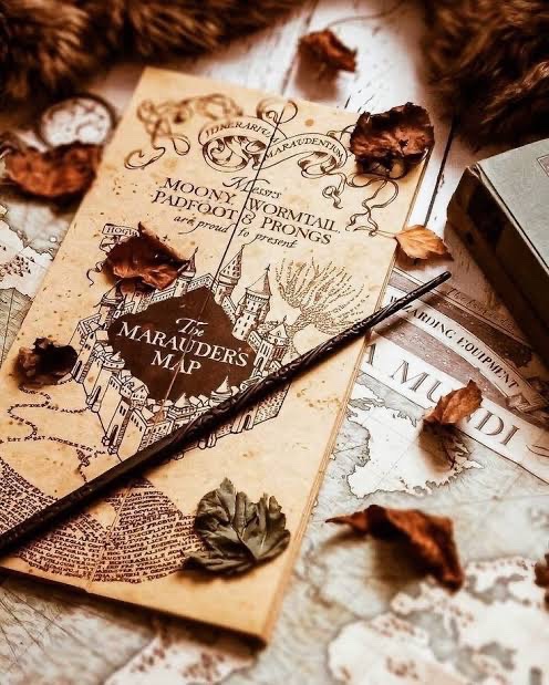 TheDailyHPotter's tweet photo. It’s Harry Potter season 😍 https://t.co/QPXlM8zVLD