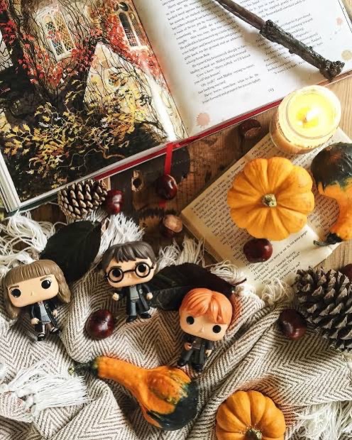 TheDailyHPotter's tweet photo. It’s Harry Potter season 😍 https://t.co/QPXlM8zVLD
