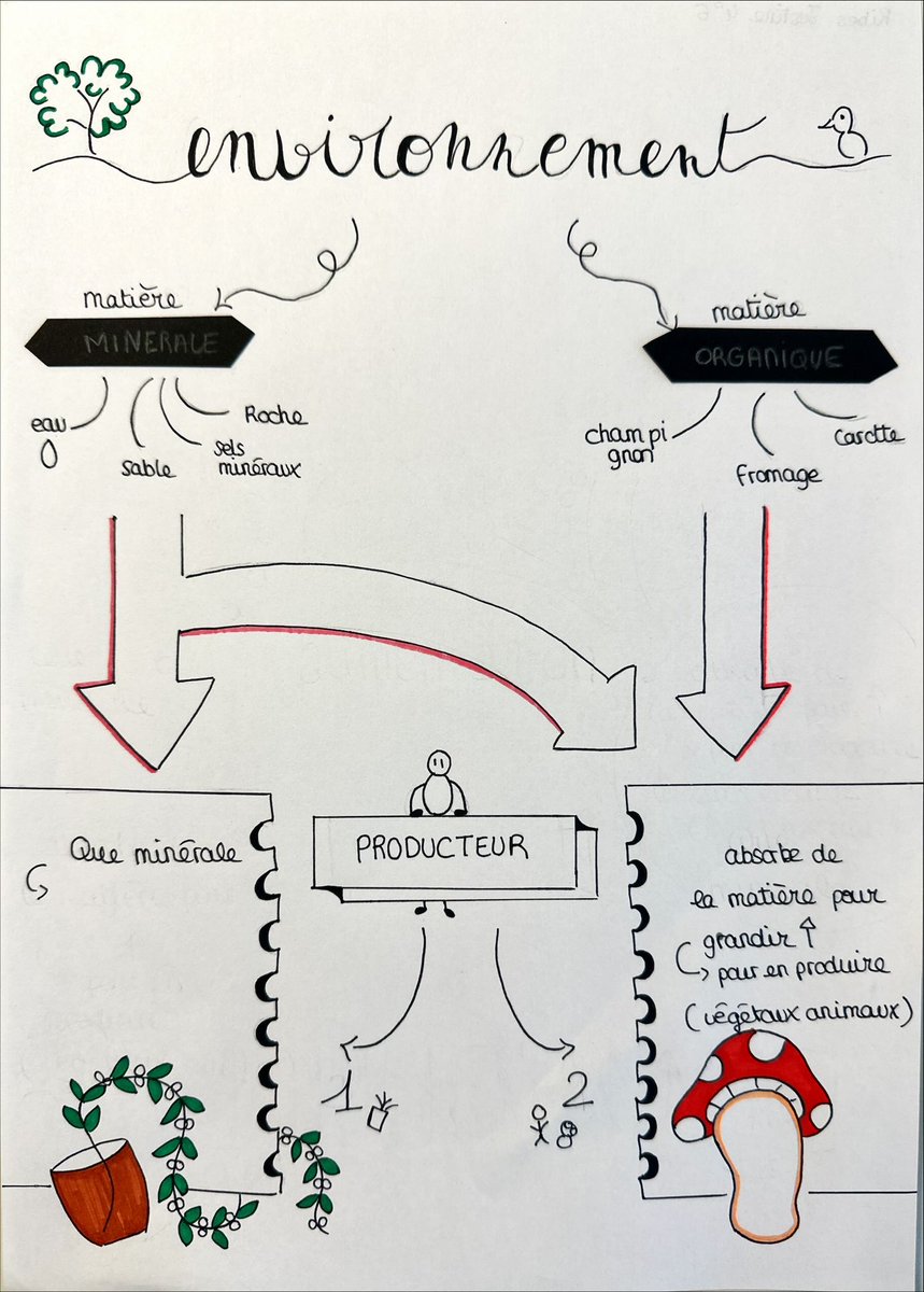 LGrenouilles's tweet image. Quelques #Sketchnotes créées par les élèves de 4eme et 3eme ! 🤩🤩🤩