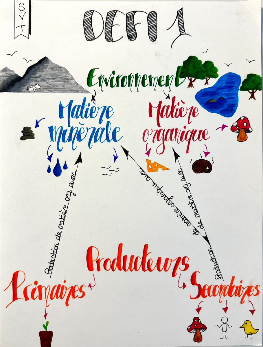 LGrenouilles's tweet image. Quelques #Sketchnotes créées par les élèves de 4eme et 3eme ! 🤩🤩🤩