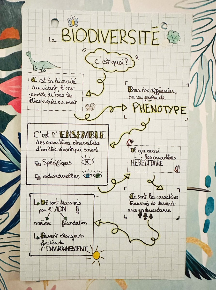 LGrenouilles's tweet image. Quelques #Sketchnotes créées par les élèves de 4eme et 3eme ! 🤩🤩🤩