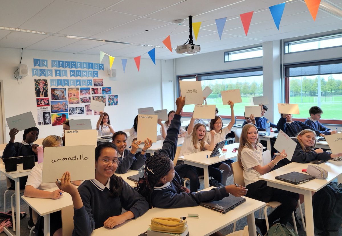 BSN Modern Languages tweet media