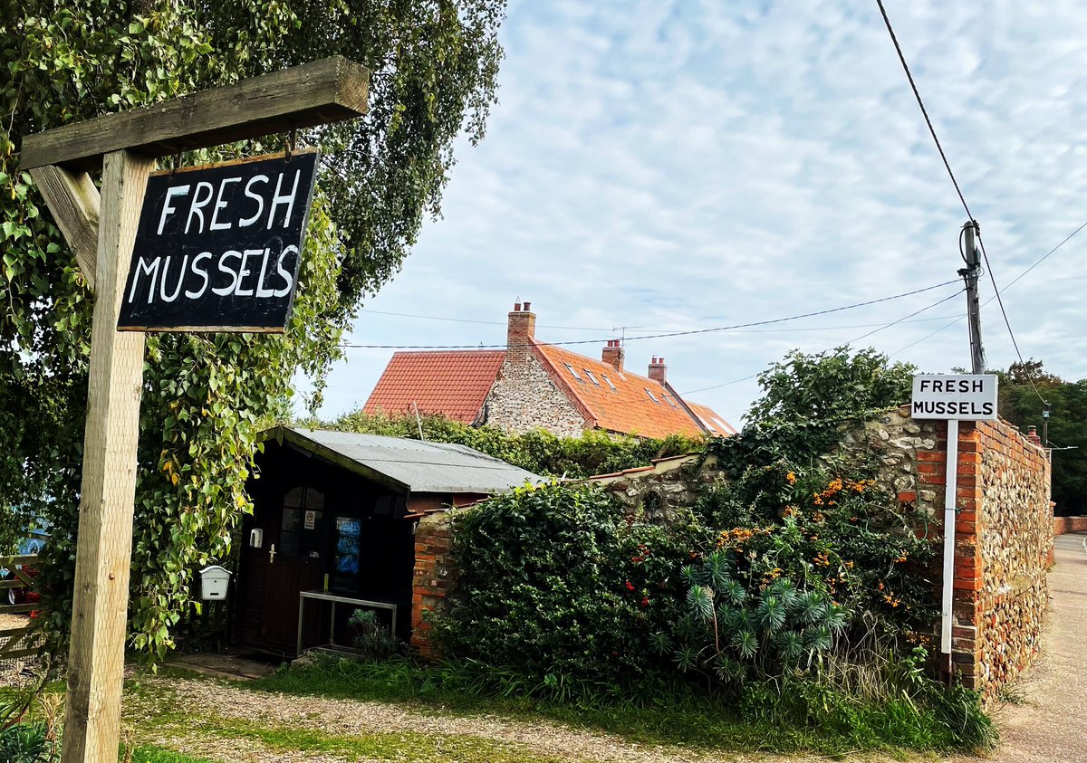 The Mussel Pod tweet media