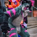Photo by SeventhLayer || Boxxie (@SeventhLayer_)