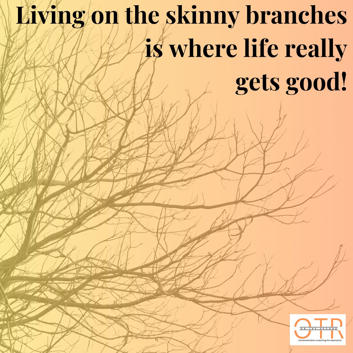 KennedyAPR's tweet photo. Are you living a safely or challenging yourself &amp; making things happen? Staying near the base feels safe. Growth comes outside our comfort zone. Skinny branches are where living gets fun. Message me, &amp; I will gift you a free coaching session to help you reach the skinny branches! https://t.co/k6XoCvOvc7