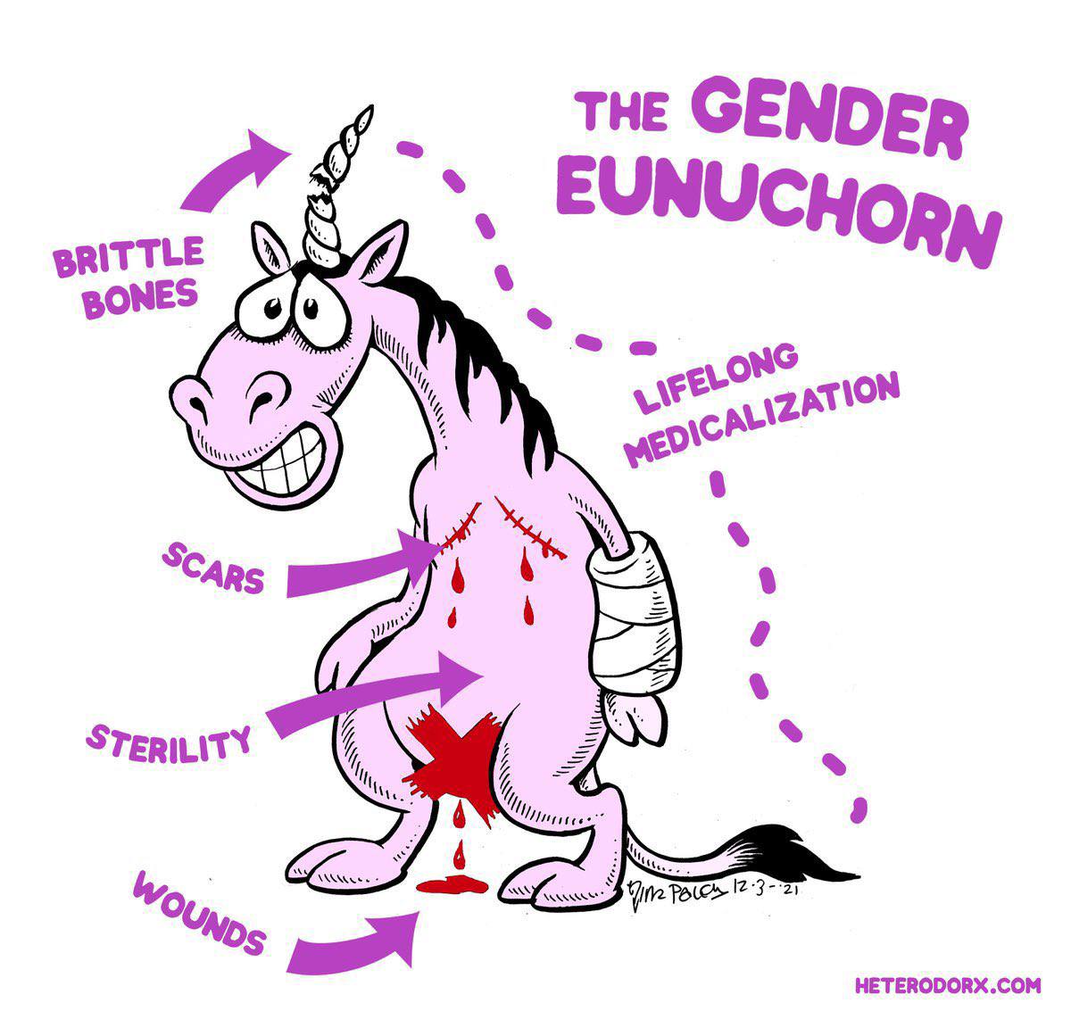 againstgrmrs's tweet photo. Much needed update to the infamous "Gender Unicorn." We think this one is much more fitting.

This is the reality of what people pushing children to transition are setting them up for. It's barbaric and we will end it.

#GenderEunuchorn by @heterodorx https://t.co/n0nm1lfG3Z