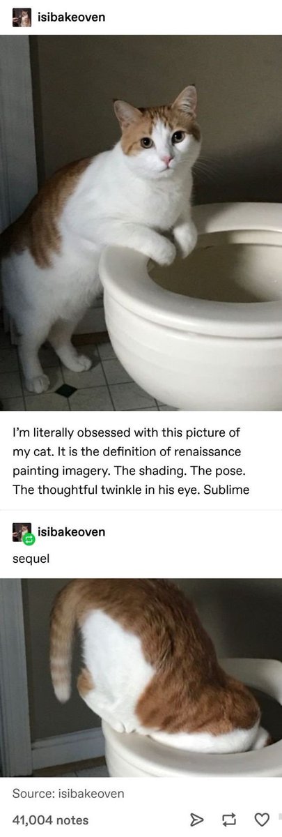 WholesomeMeme's tweet photo. https://t.co/SF4VzHk85V