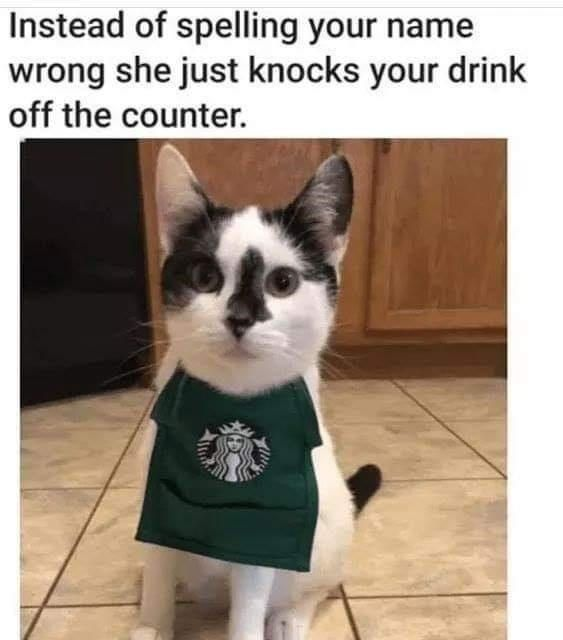 WholesomeMeme's tweet image. 