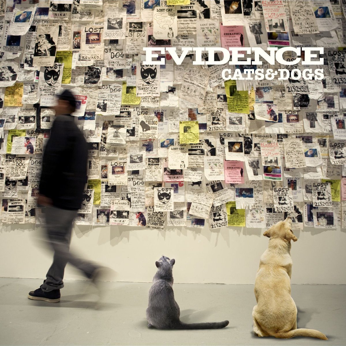 September 27, 2011 @Evidence released Cats & Dogs 

Some Production Includes @Evidence @Alchemist @REALDJPREMIER @StatikSelekt @Rahki @TWIZtheBEATPRO @KHRYSIS + more

Some Features Include @aloeblacc @Raekwon @PRODIGYMOBBDEEP (RIP) @TheRealRakaa @rocmarci @TermanologyST + more