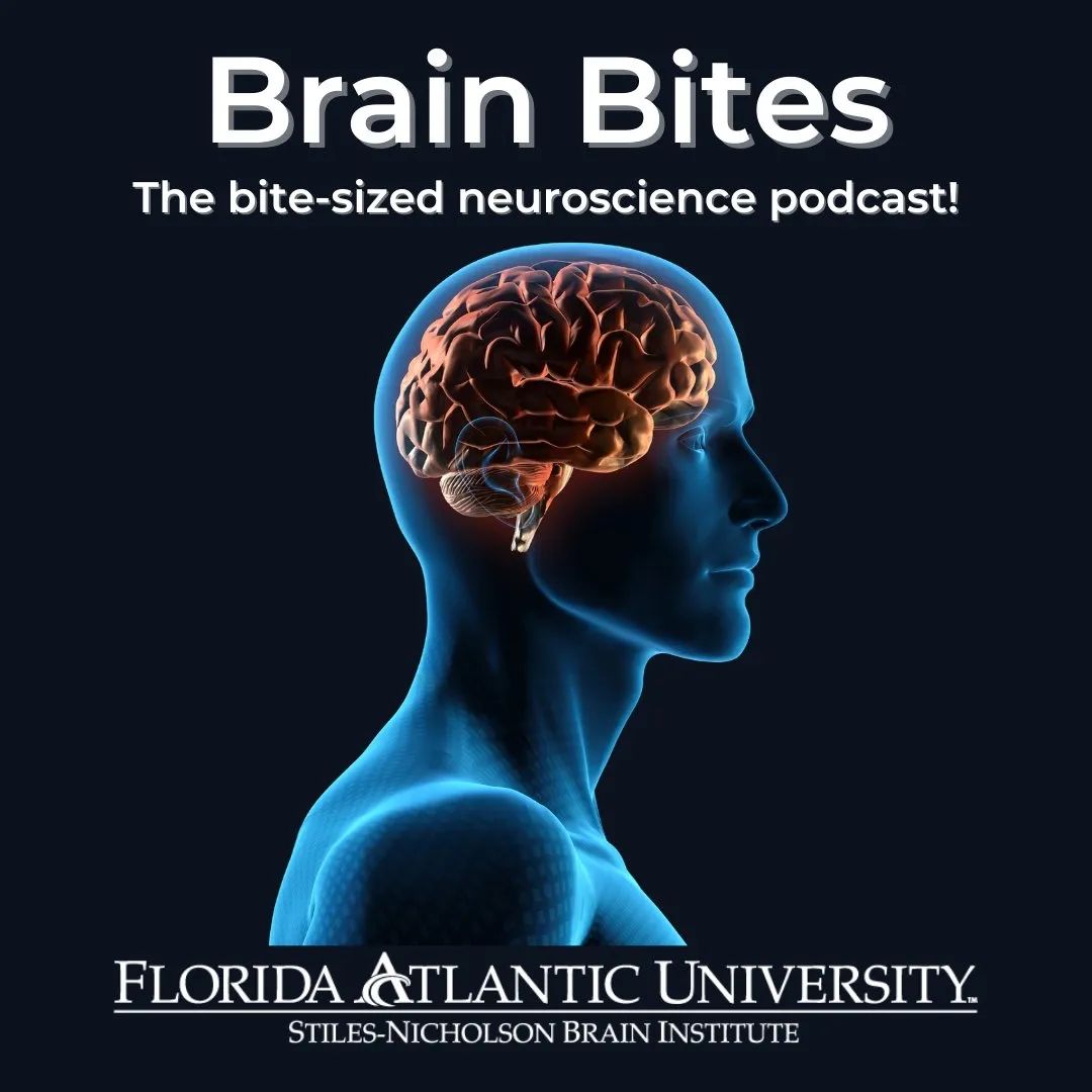 Ascend Neuroscience tweet media