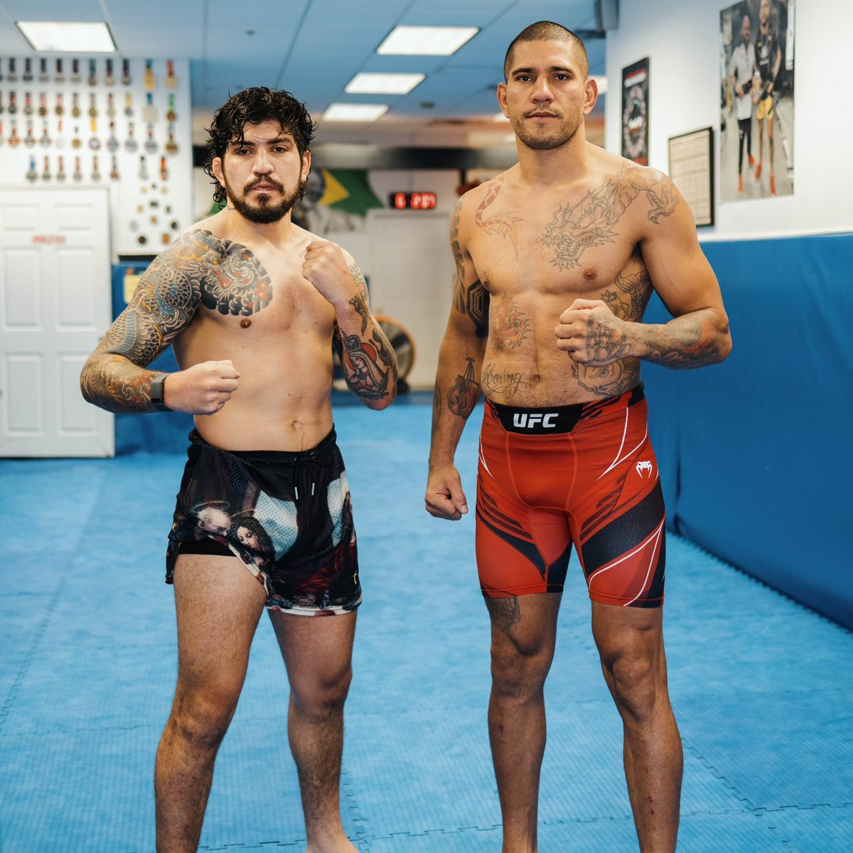 mma_orbit's tweet photo. Alex Pereira training Dillon Danis after Izzy trained Logan Paul 😭😭😭 https://t.co/tUhfYDoItv