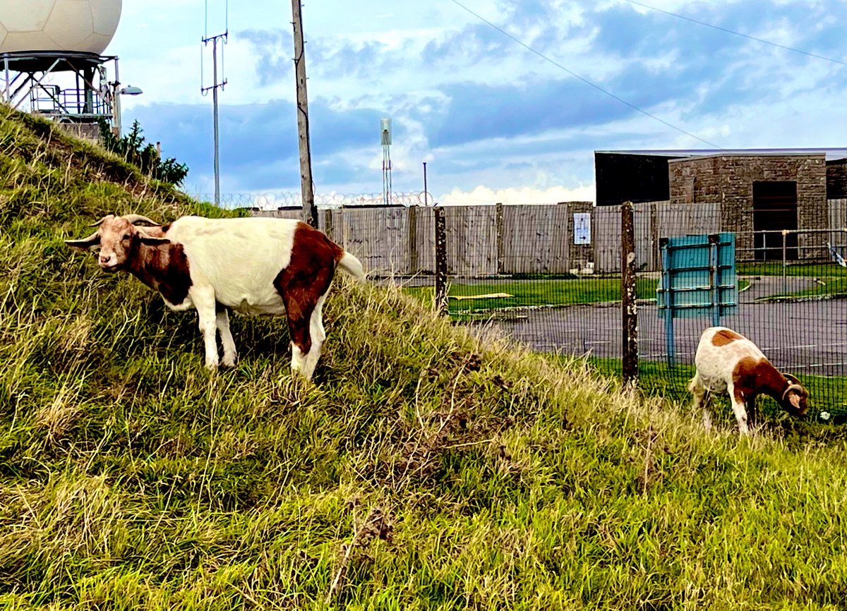 Oxleas Quality Management Team tweet media