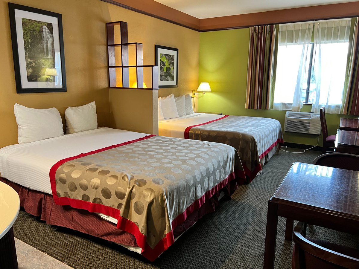 State Representative Hai Pham, DMD tweet media