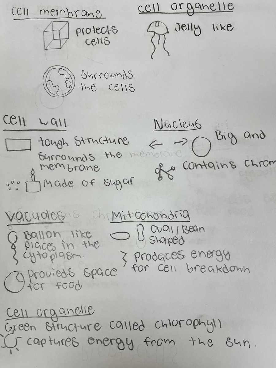 Melaina Blake tweet media