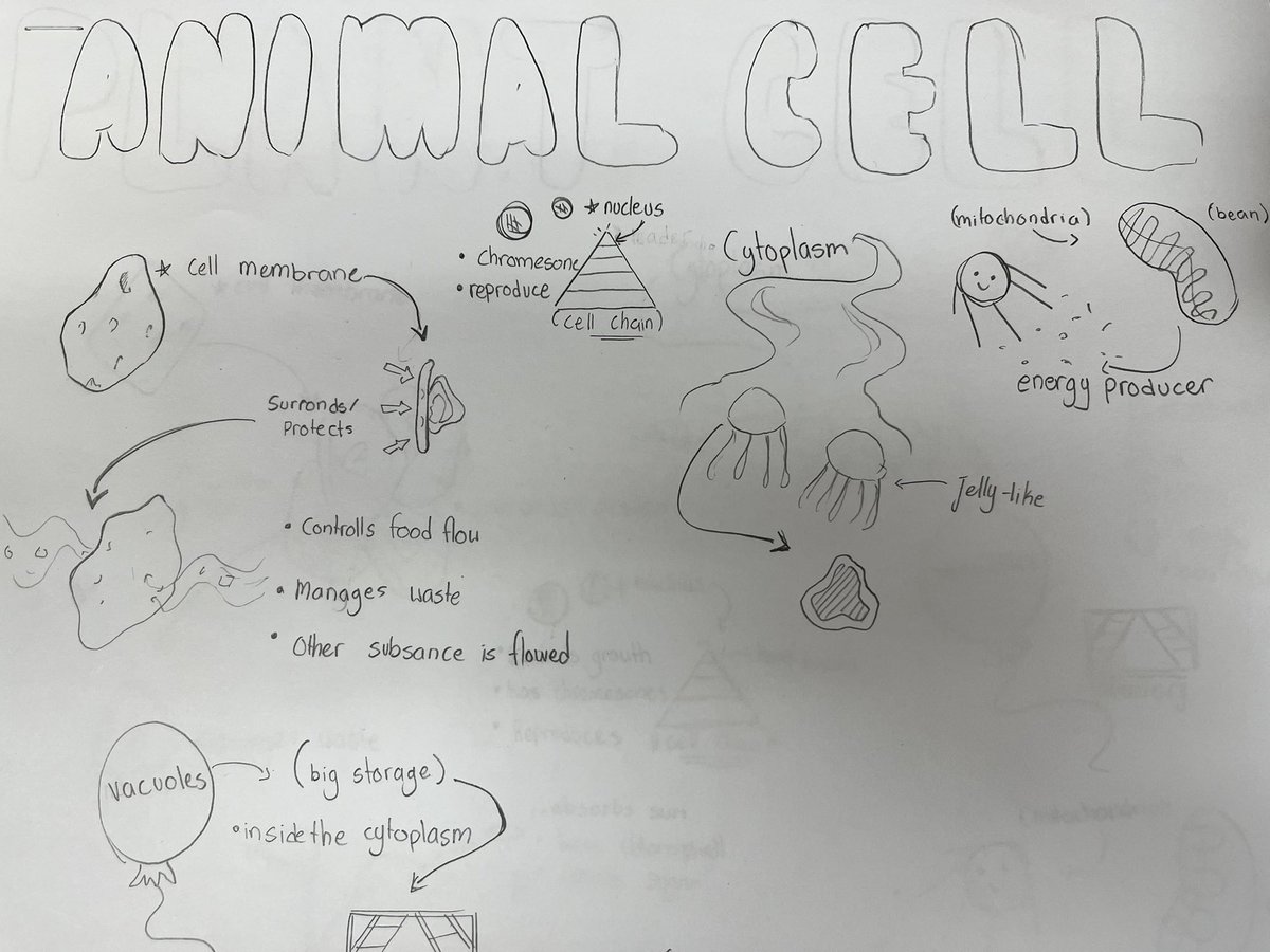 Melaina Blake tweet media