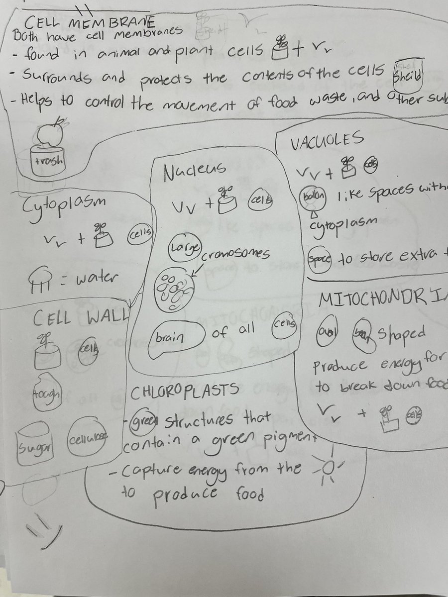 Melaina Blake tweet media