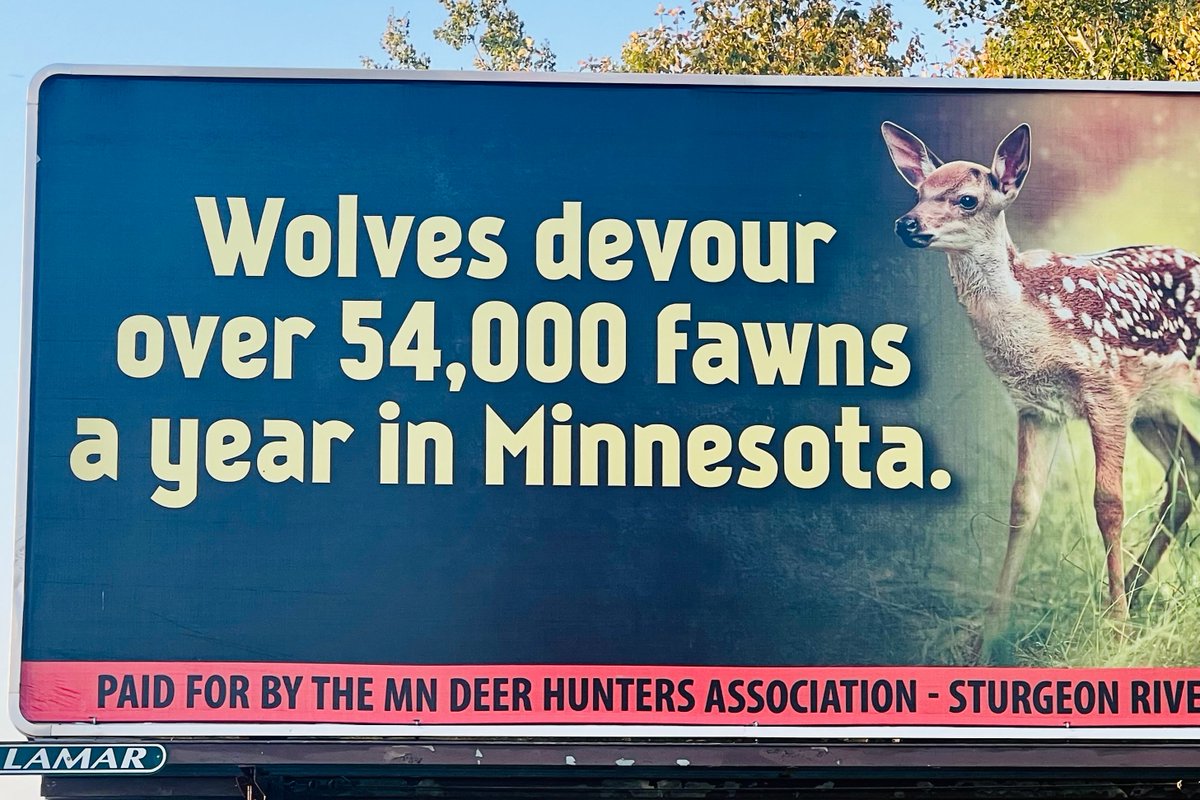 Voyageurs Wolf Project tweet media